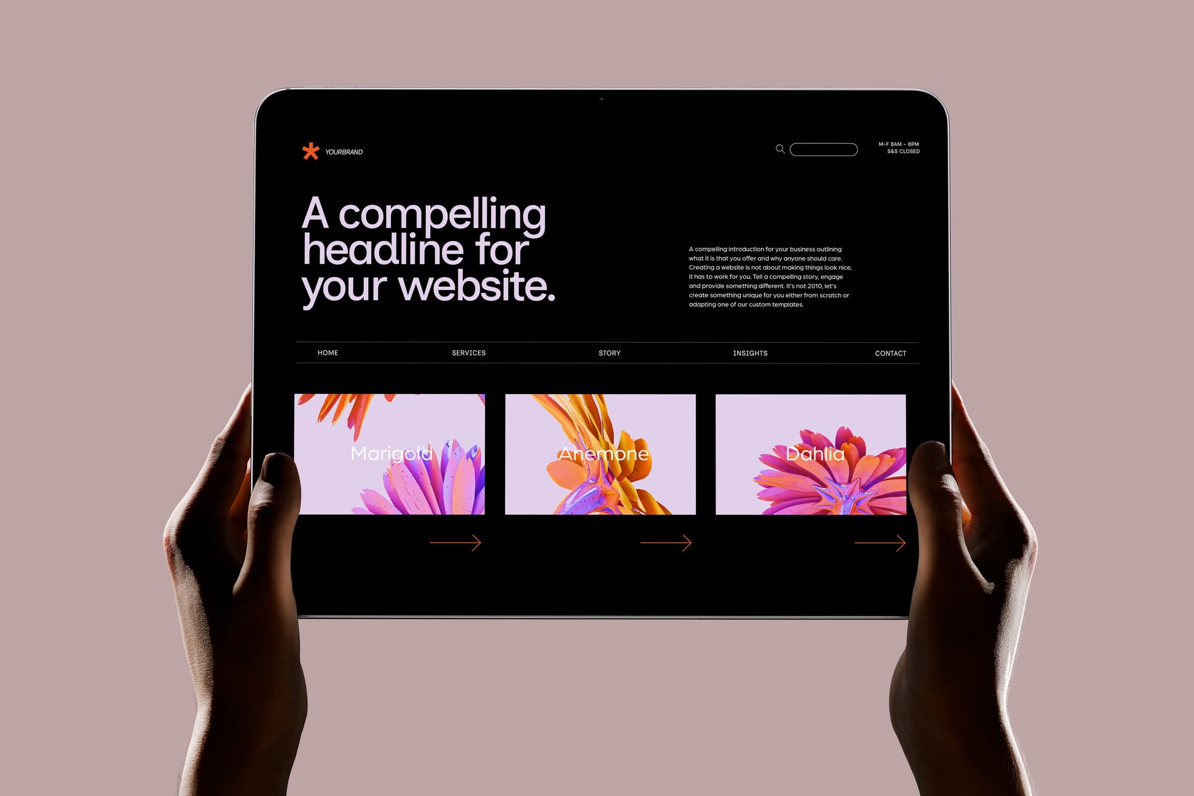Website Design