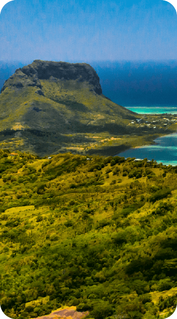 Capella Fun Fungi Fact